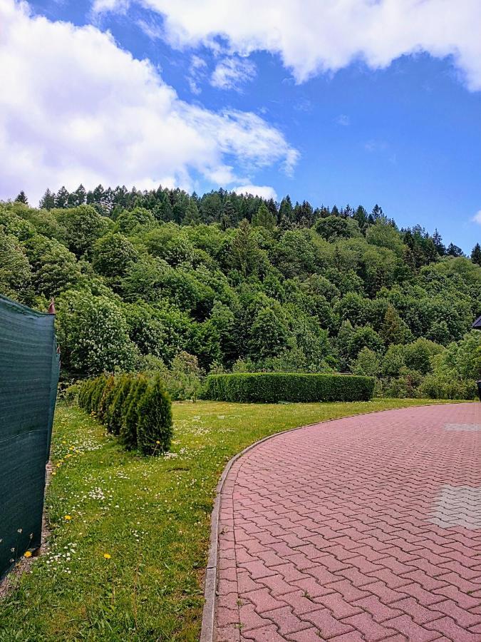 Apartament Nad Strumykiem Apartment Tylicz Bagian luar foto