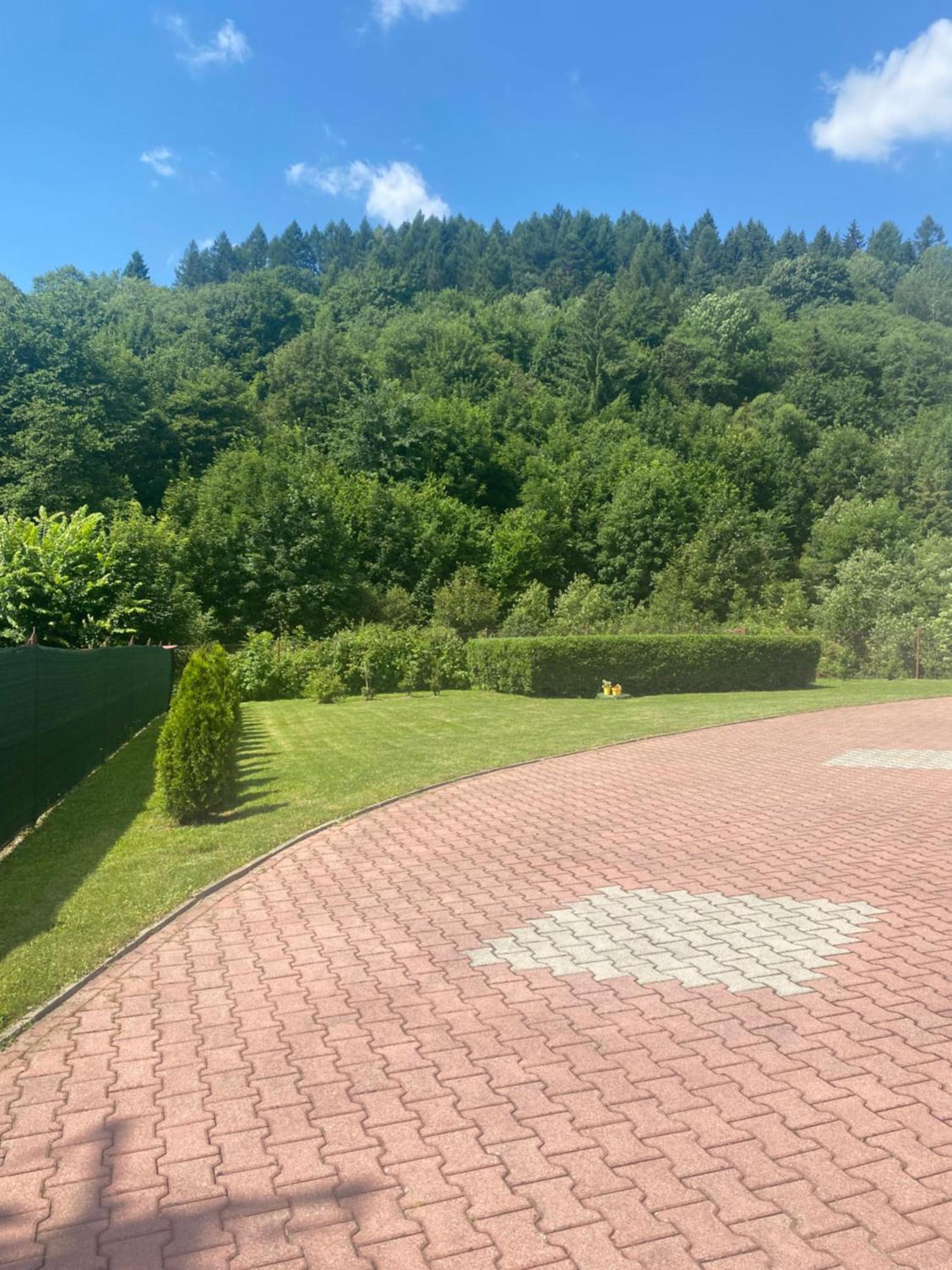 Apartament Nad Strumykiem Apartment Tylicz Bagian luar foto